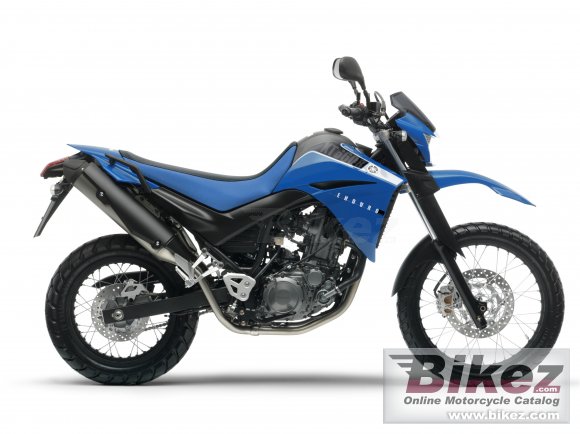 2010 Yamaha XT 660R photo